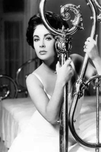 MONDiART Elisabeth Taylor in tin roof  (100047)