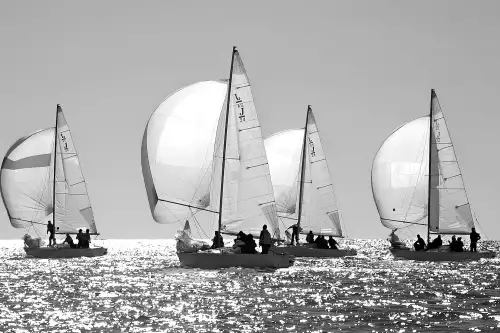 MONDiART Sailing Competition portrait  (100256)