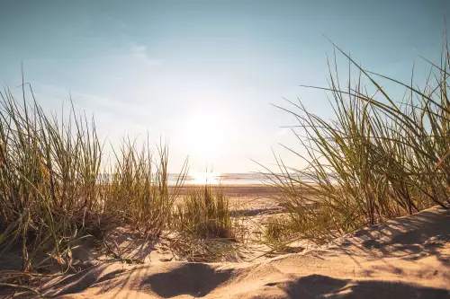 MONDiART Path to the beach  (102029)