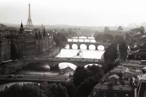 MONDiART Bridges over the Seine river  (102450)