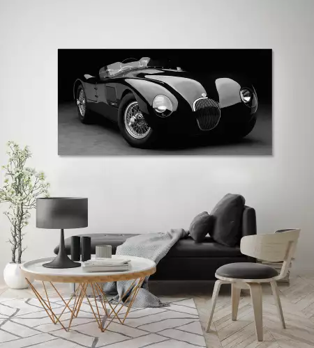 MONDiART 1951 Jaguar C-Type I B&W  (103460)