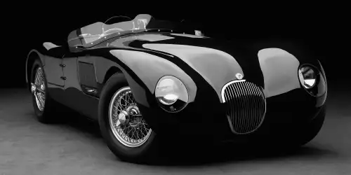 MONDiART 1951 Jaguar C-Type I B&W  (103460)